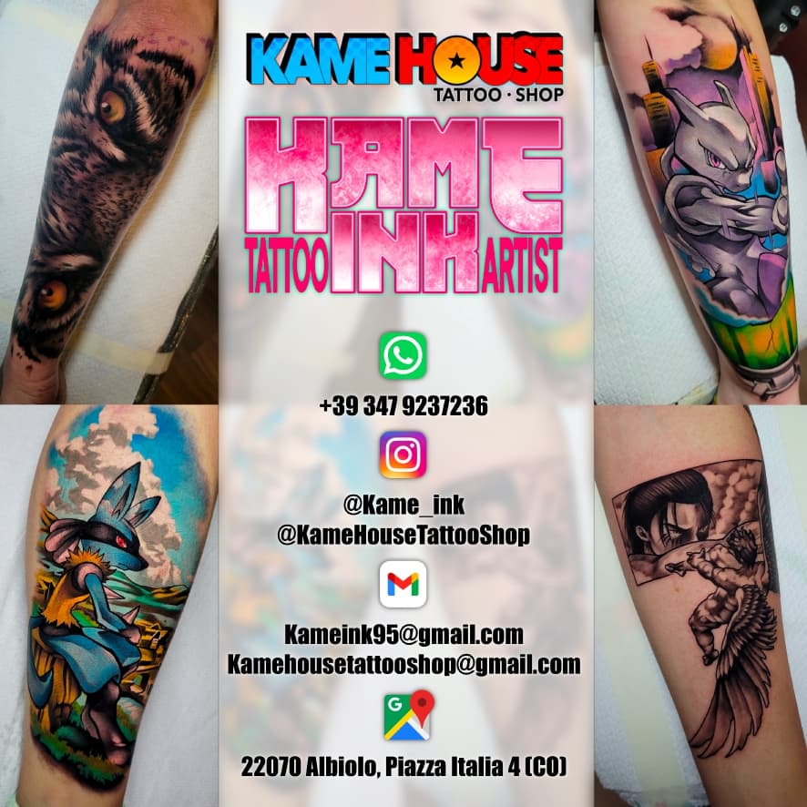 Kame House