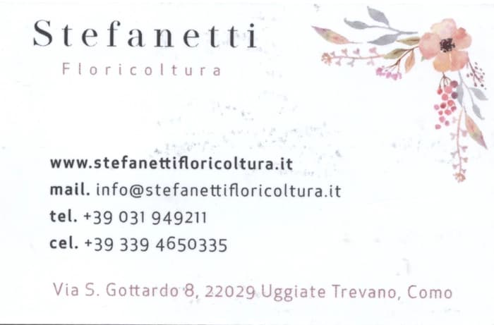 Stefanetti